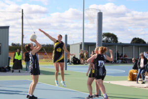 Tigers out to clip Magpies’ wings