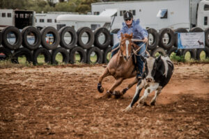 Swan Hill campdraft dodged wet