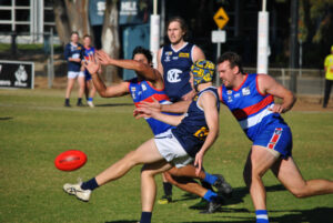 Dogs get off the leash