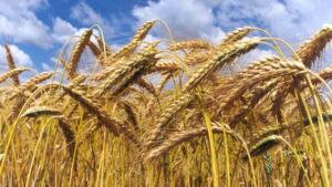 Farmers concerned about regulation bill