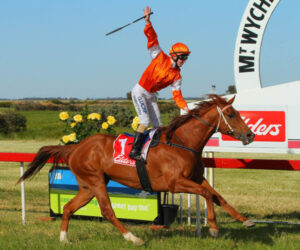 Placing brings in $340 for charity