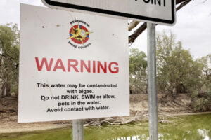 River algae alert, but levels stay low