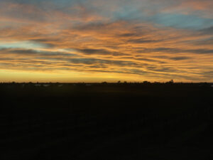 Cool mornings, mild days