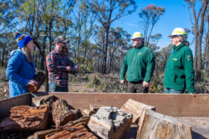 Spring into firewood collection