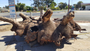 Event puts Ouyen on the map