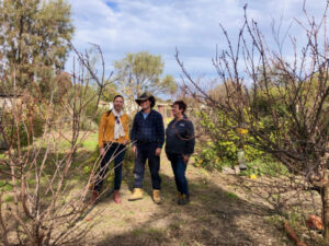 Effective fruit fly control starts now Swan Hill