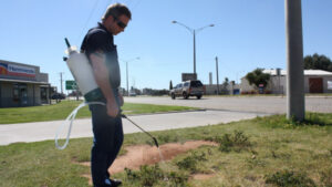 Council’s war on weeds
