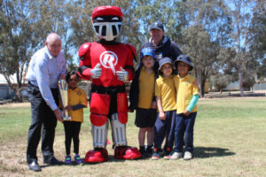 Supporting cricket’s life-force