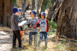Mallee forests on show