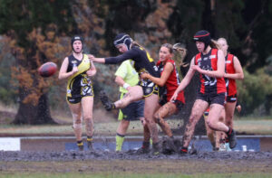 Tigers roar to unbeaten start