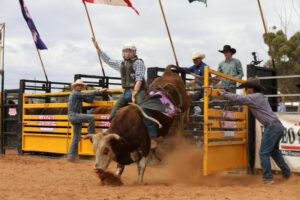 Berriwillock Rodeo – gallery
