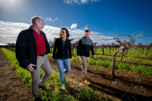 Search for skilled labour answers in Robinvale