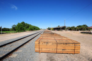 MP on board in rail freight push