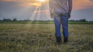 Weather takes a mental toll