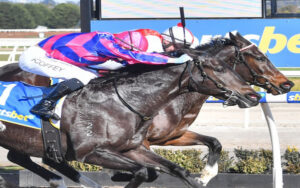 Night Flash’s home for Coffey