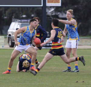 Macleod’s seven crushes Raiders