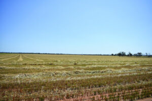 Heat is on during first October weekend in the Mallee