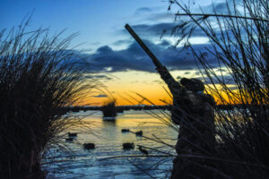 Big tick for hunters