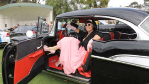 Show proves a shining success