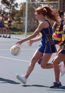 Premature end to pre-final netball season
