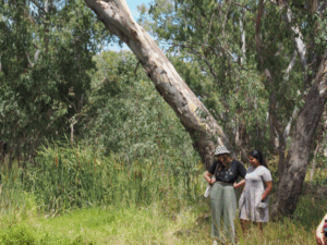 Youth climate opportunity