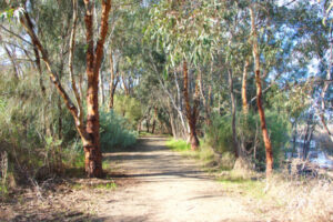 Restoring and protecting