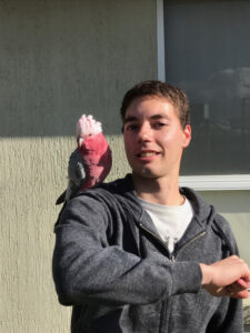 Hobo finds a new home