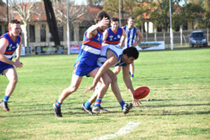Roo rampage upsets Dogs