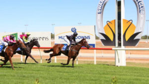 Local trainers contest the state’s best