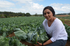 Vaccine clarification needed for ag workers