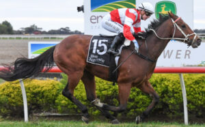 Wayfarer finds way to front