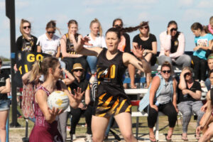 Tigers top finals food chain