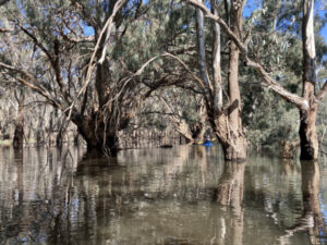 Grim warning on park ahead of key minister’s meeting