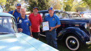 Award winning Lions seek a den