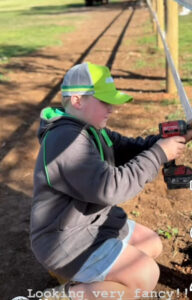 Saddle up for Gymkhana