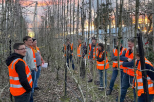 High hopes for narrow orchards