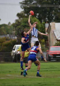 Early test for Roos, Tigers