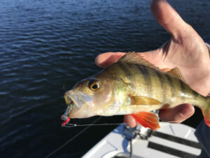 Extra funds for community groups