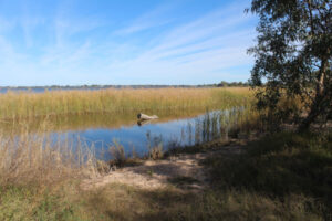 Turtle lagoon funds on new path