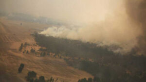 Local firies in thick of fight