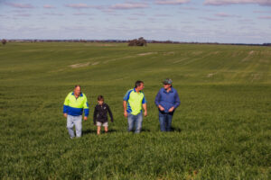Market savvy for grain farmers