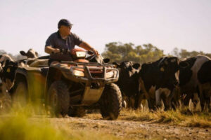 Quad bikes sales face roll-bars law in safety upgrade