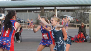 ‘Dogs don’t scare easily