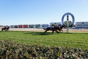 Snip runs to Cup win