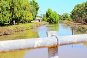 Channel on the chopping block