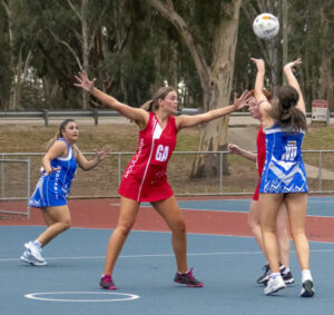 Swans fire warning shot