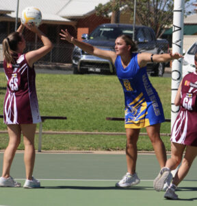 Mallee Eagles set benchmark