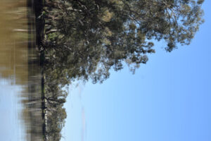 VFF claims water meeting snub