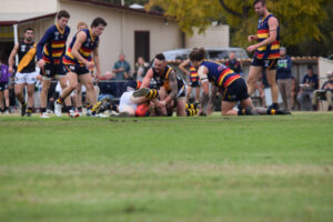 Tigers win highlights even competition