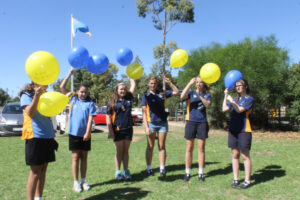 Milestone for Guides